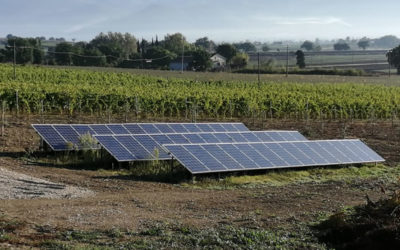 Cantine e ambiente: l’impegno di Bocale per la sostenibilità