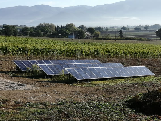 Cantine e ambiente: l’impegno di Bocale per la sostenibilità