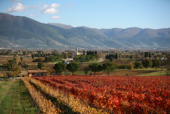MONTEFALCO-UMBRIA’S-EXALTED-BALCONY-cover-image-6