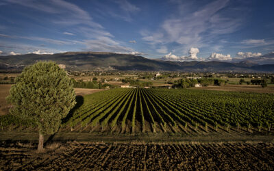 Montefalco: Umbria’s exalted balcony